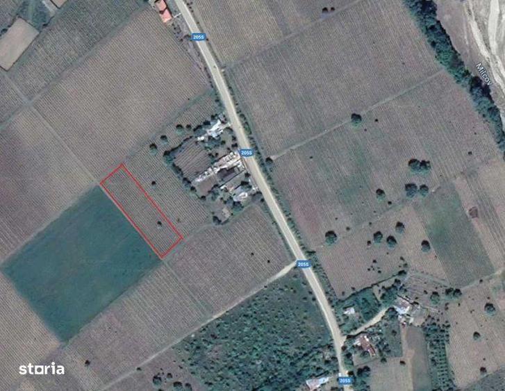 Teren de 3057 mp, în Vârteșcoiu