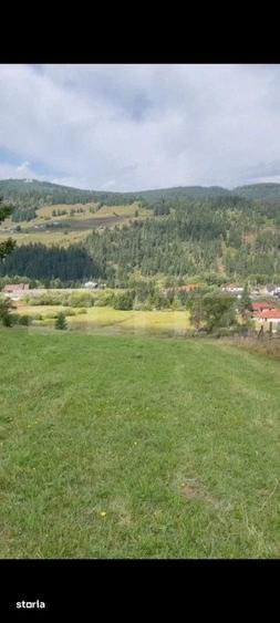 Teren de 16688 mp, în Șaru Dornei
