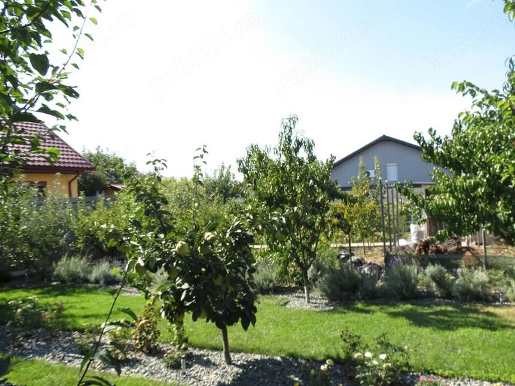 Casă cu Teren 960 Mp în Odaia Manolache