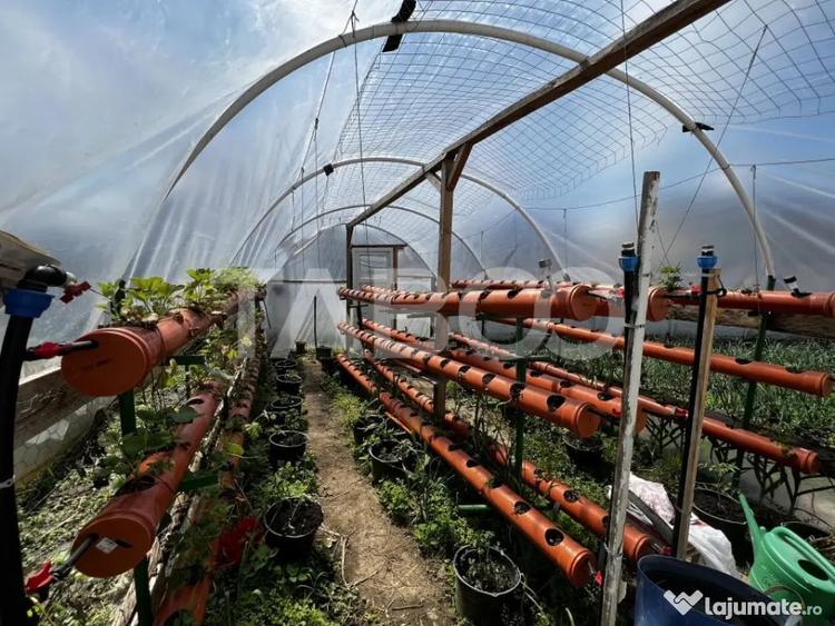 Casă cu 3 camere cu Teren 500 Mp în Cornățel