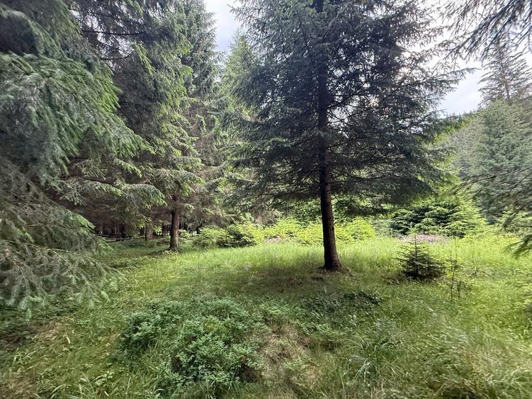 Teren agricol intravilan de 2500 mp, în Comandău