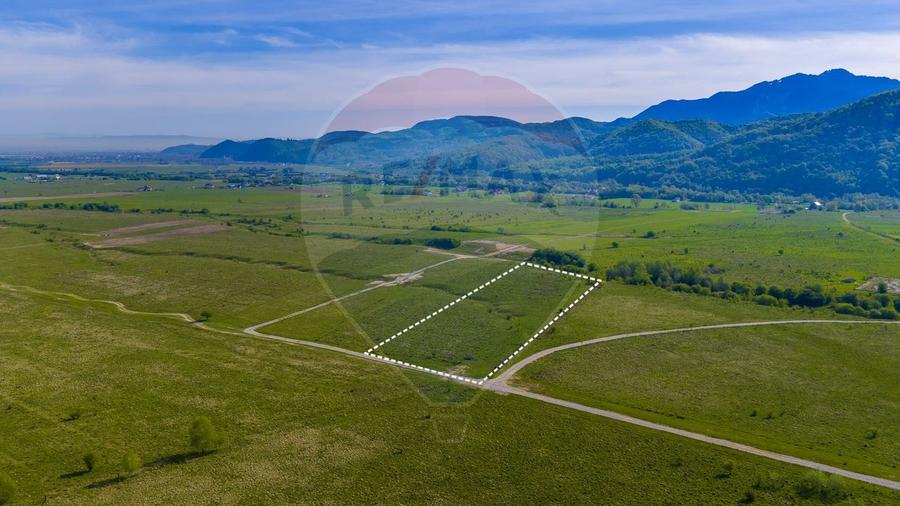 Teren agricol extravilan de 13800 mp, în Glăjărie