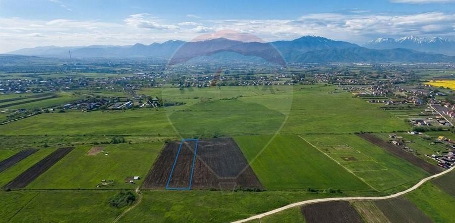 Teren de 8600 mp, în Stupini