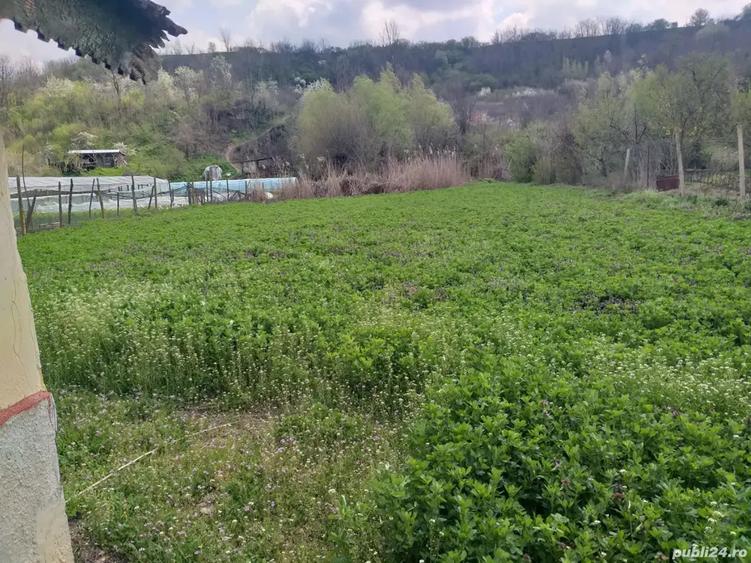 Teren de 3500 mp, în Izvoarele