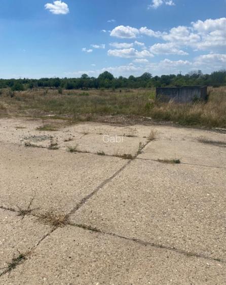 Teren Mangalia zona industriala