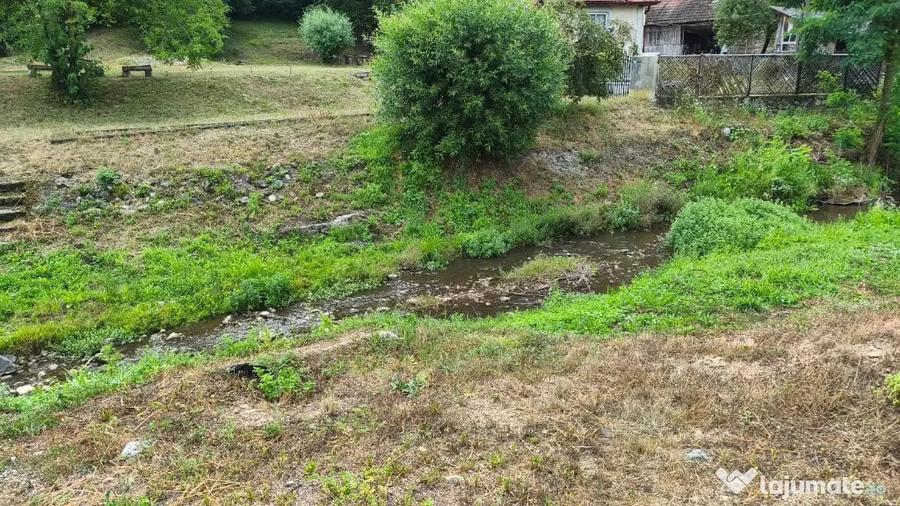 Reprezentare Exclusiva Proprietate deosebita, la 30 de minute de Dev - 17