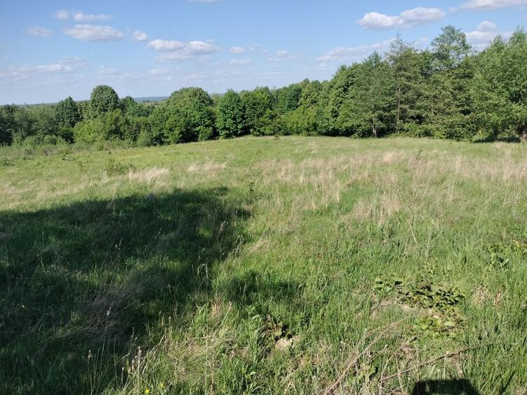 Teren de 5000 mp, în Vicovu de Sus