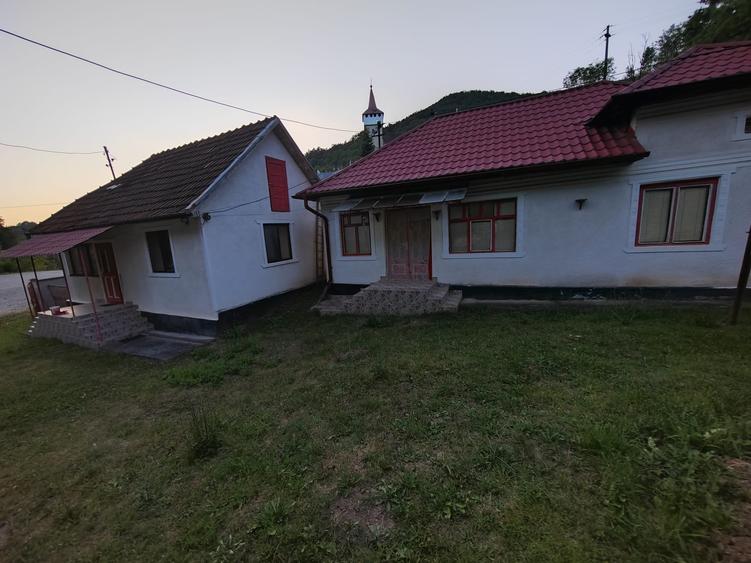 Casă individuală cu 4 camere cu Teren 8700 Mp în Băița