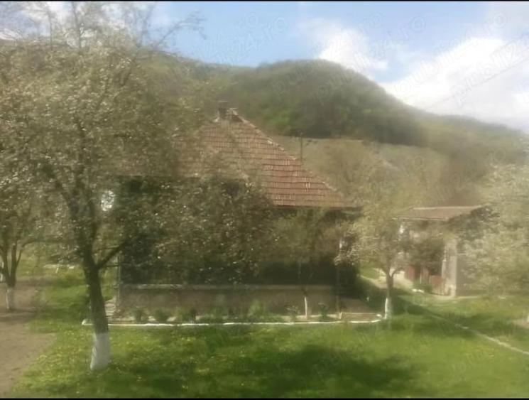 Casă cu 3 camere cu Teren 2100 Mp în Criș