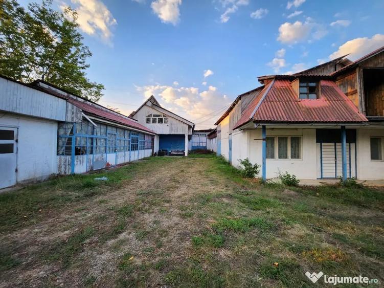 Teren în Alexandru cel Bun