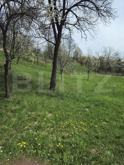 Casă individuală cu 6 camere cu Teren 3000 Mp în Runcu