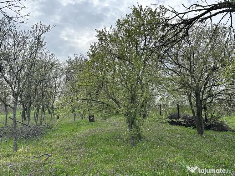Teren de 7491 mp, în Găiseanca