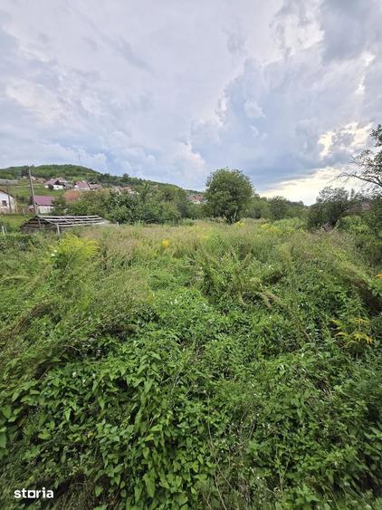 Casă cu 3 camere cu Teren 2466 Mp în Central