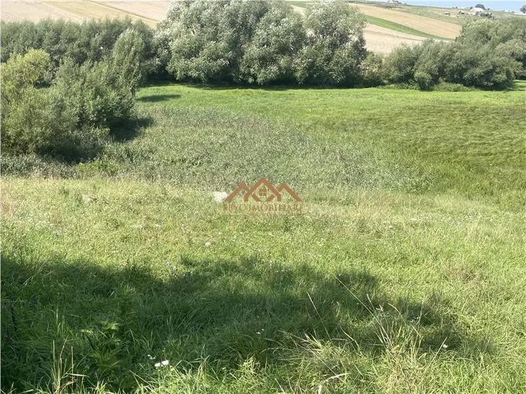 Teren de 8000 mp, în Moara