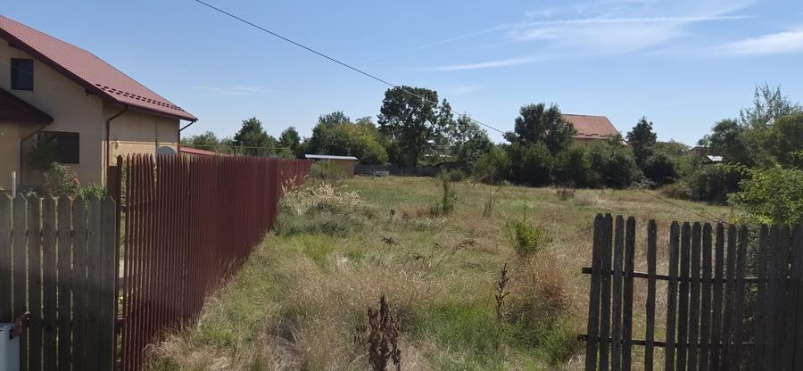 Teren Construcții intravilan de 800 mp, în Moșoaia