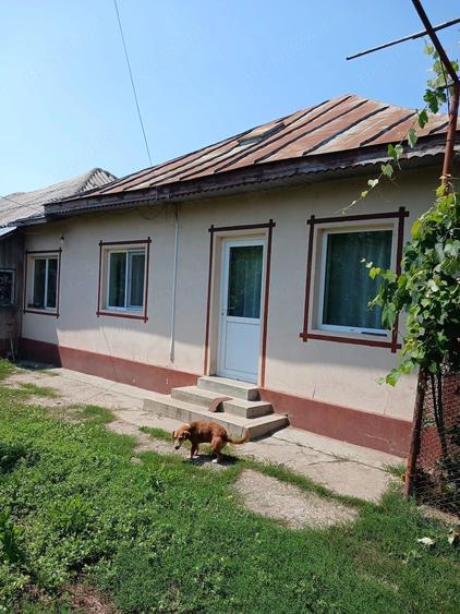 Casă cu 3 camere cu Teren 2138 Mp în Corbii Mari