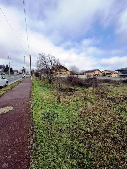 Teren Construcții intravilan de 800 mp, în Exterior Vest