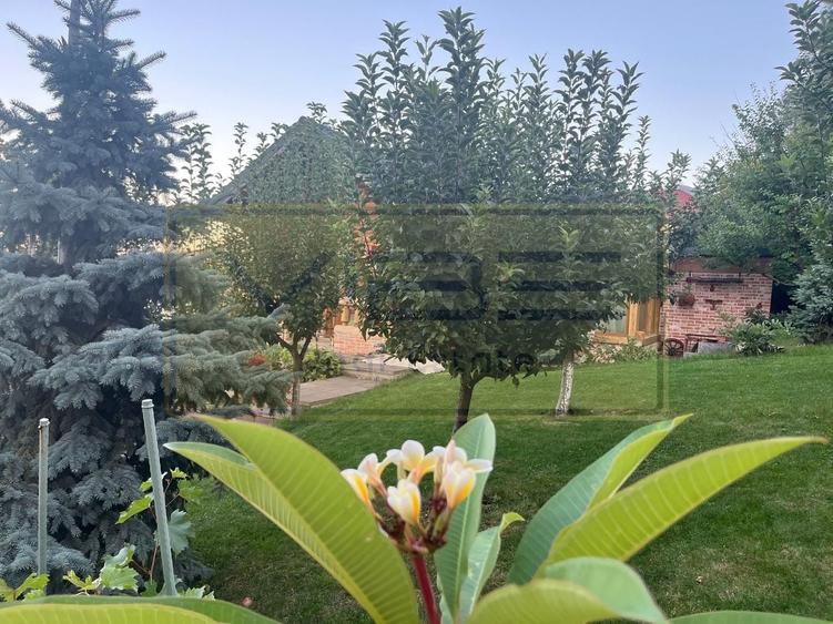 Spațiu comercial, de 270 mp, în Copou