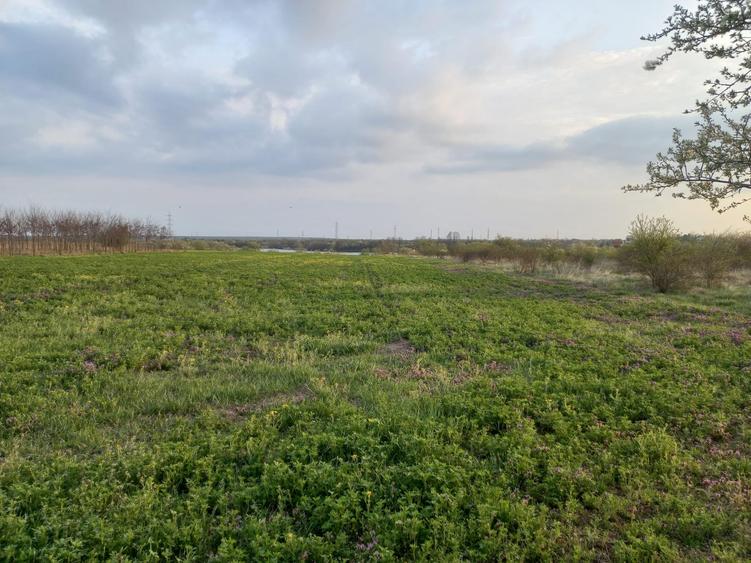 Teren agricol intravilan de 10568 mp, în Snagov