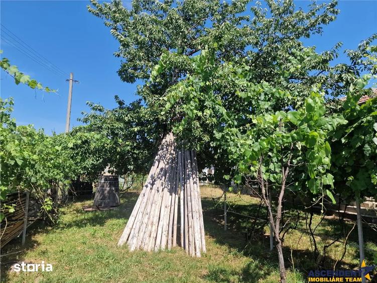 Casa traditionala, cu 2.000mp teren roditor, Izvoarele, Prahova - 10