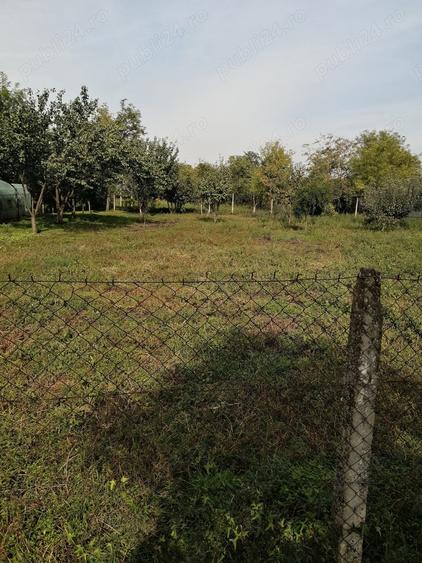 Teren de 1000 mp, în Gheorghe Lazăr