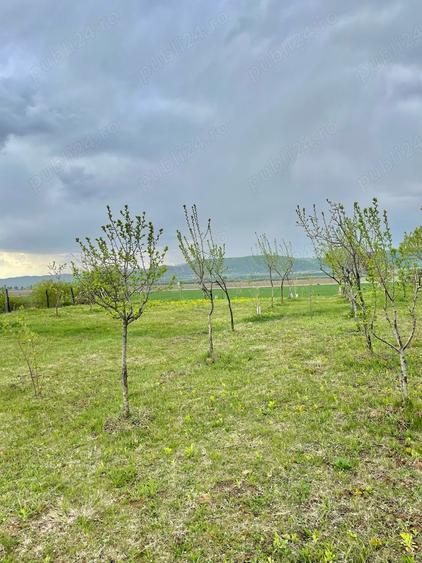 Teren în Urleta