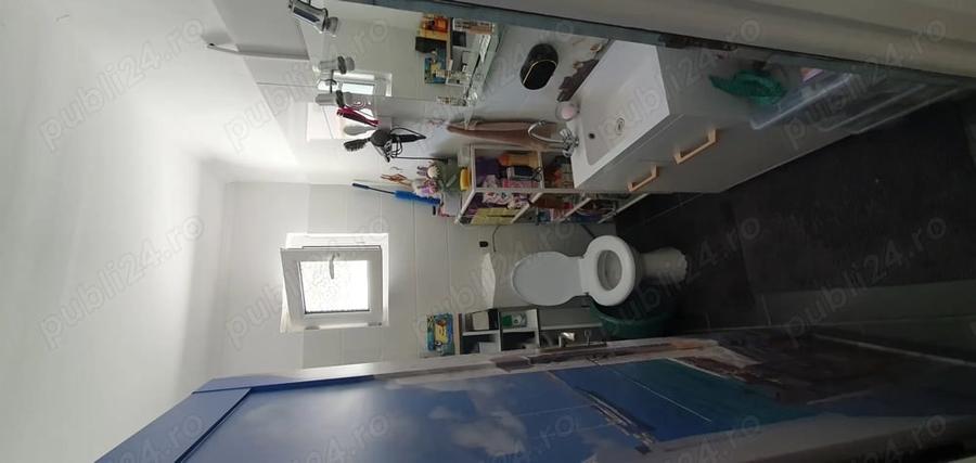 Casă cu 3 camere cu Teren 350 Mp în Borăscu