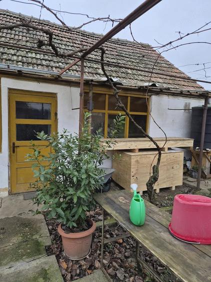 Casă cu 2 camere cu Teren 830 Mp în Central