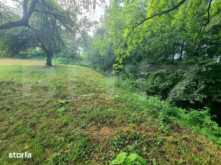 Teren intravilan, 31 ari, Ilva Mica, zona montana - 1