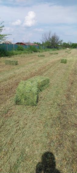 Teren de 2500 mp, în Tătărani
