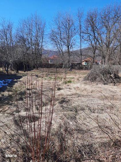 Teren de 1039 mp, în Valea Mare