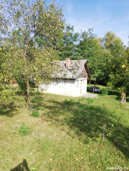 Teren de 5000 mp, în Pălatca