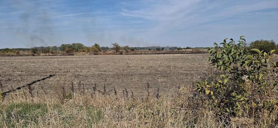 Teren de 5000 mp, în Bălanu