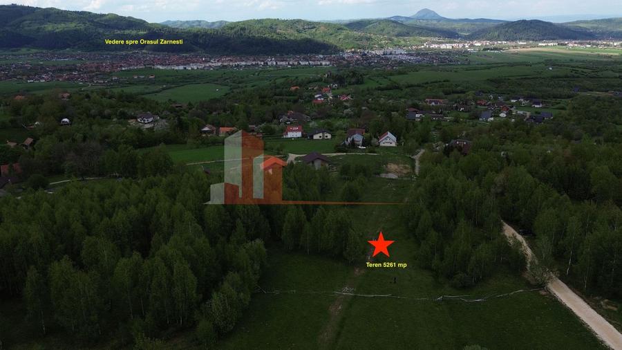 Teren Construcții intravilan de 5261 mp, în Tohănița