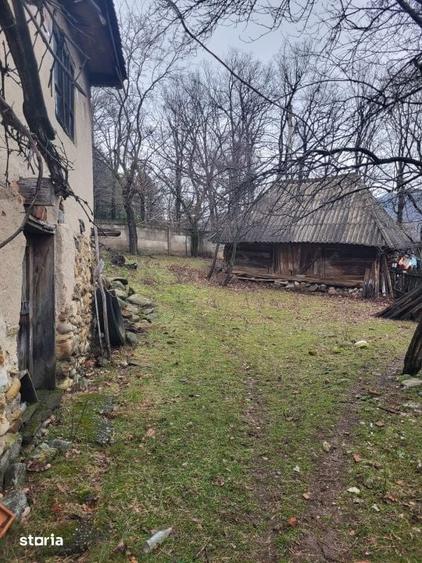 Teren de 4790 mp, în Mușetești
