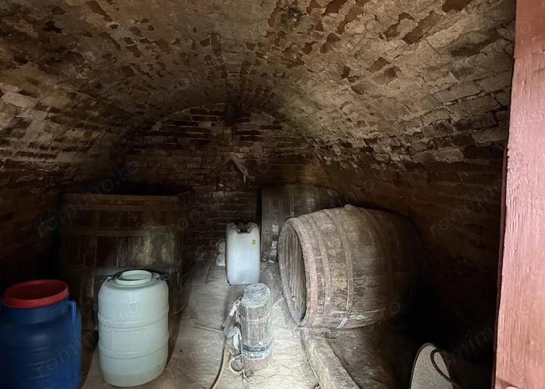 Casă cu 3 camere cu Teren 8000 Mp în Cetariu