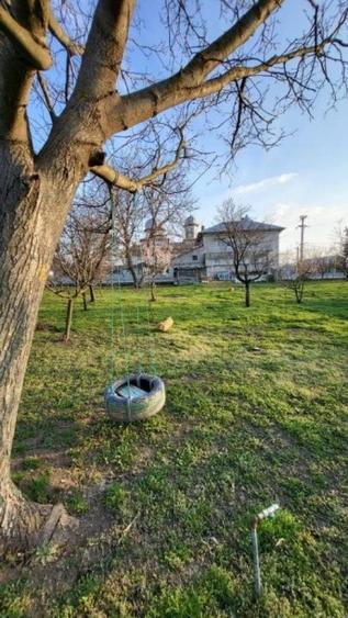 Teren Construcții intravilan de 6000 mp, în Dascălu