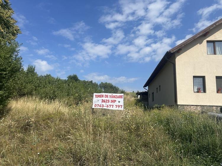 Spațiu comercial, în Rediu