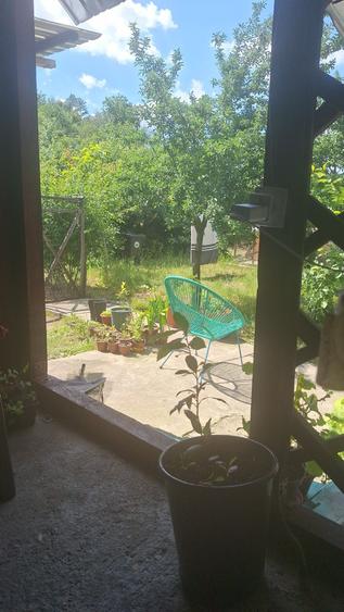 Casă cu 3 camere în Beba Veche