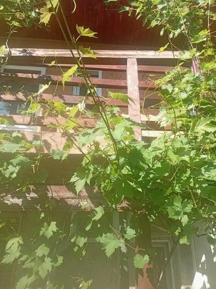 Casă cu 2 camere cu Teren 200 Mp în Ferentari