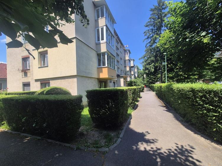 Apartament cu 2 camere nedecomandat în Centrul Civic