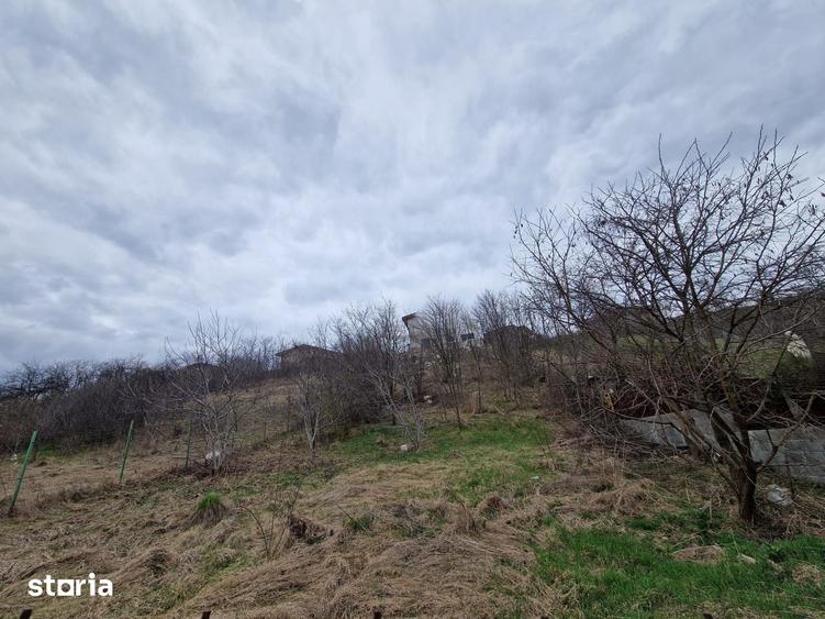 Teren de 584 mp, în Apahida