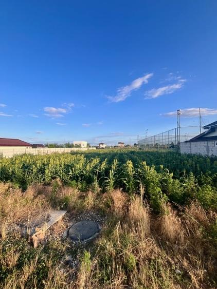 Teren Construcții intravilan de 1410 mp, în Brănești