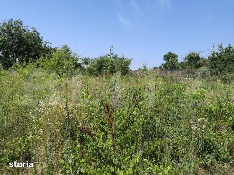 Teren de 2845 mp, în Crăiești