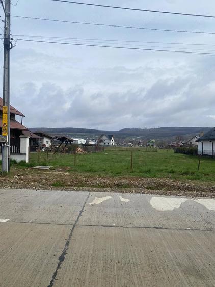 Teren de 1000 mp, în Dărmănești