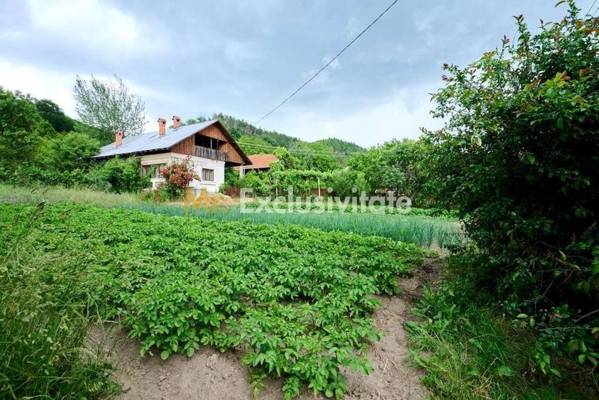 Casă cu 3 camere cu Teren 4696 Mp în Central