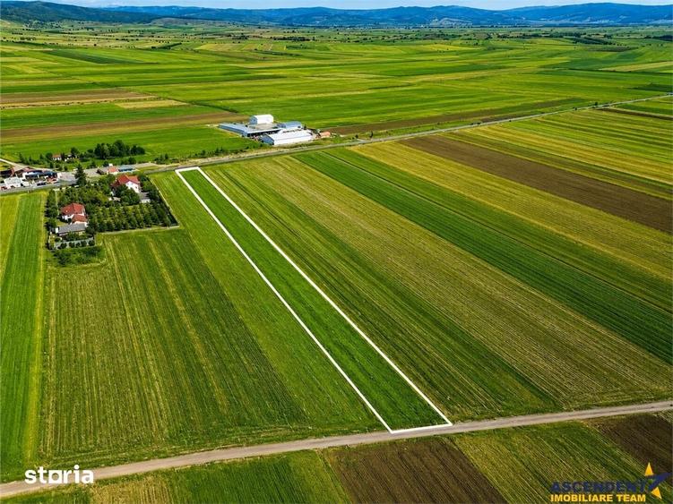 Teren de 7500 mp, în Central