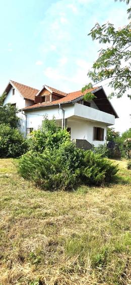 Casă cu Teren 3000 Mp în Dârvari