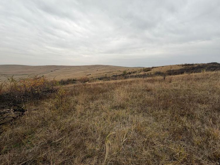 Teren agricol extravilan de 8000 mp, în Sântimbru