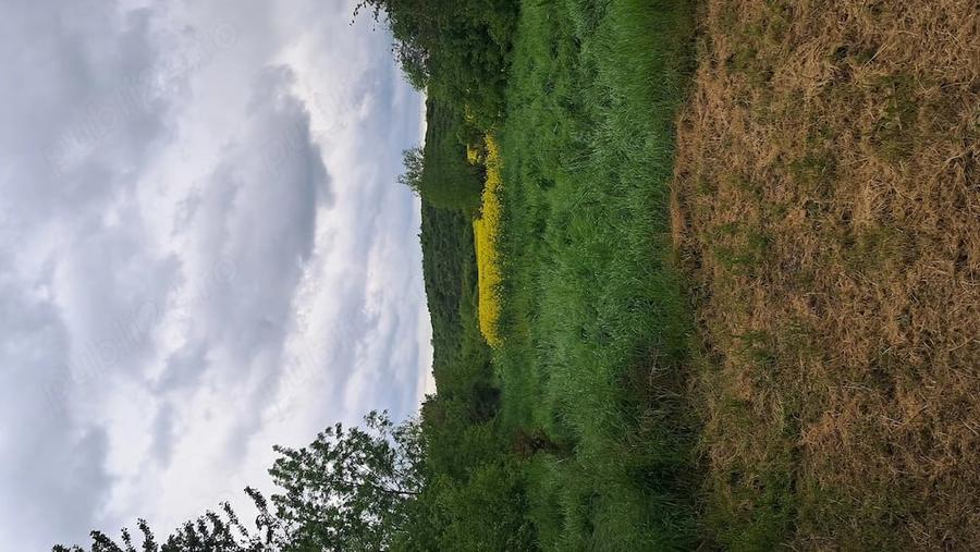Teren de 4200 mp, în Palanga